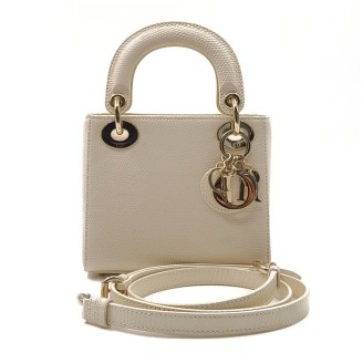 크리스찬 디올 리자드 레이디백 미니